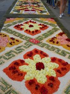 immagine infiorata 2012