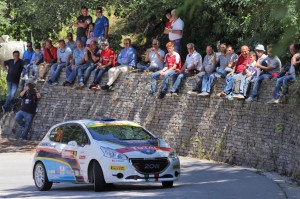 Michele Tassone, Daniele Michi (Peugeot 208 VTI R2 #18)