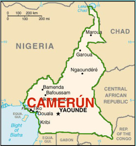camerun nel contesto regionale