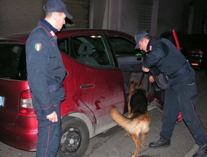 foto di repertorio Carabinieri cinofili in attività