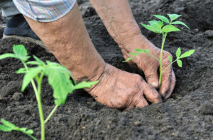 agricolturasociale