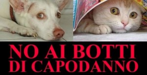 Botti di Capodanno animali (1)