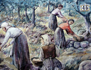 murales-sardegna-donne-raccolgono-olive