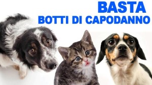 animali-e-botti-di-capodanno