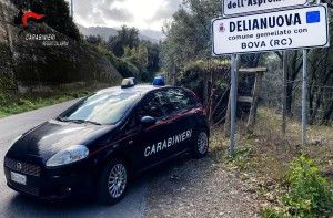 carabinieri-delianuova